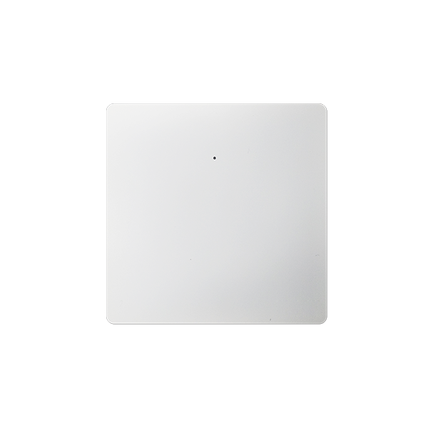 One-Button Single Fire Switch