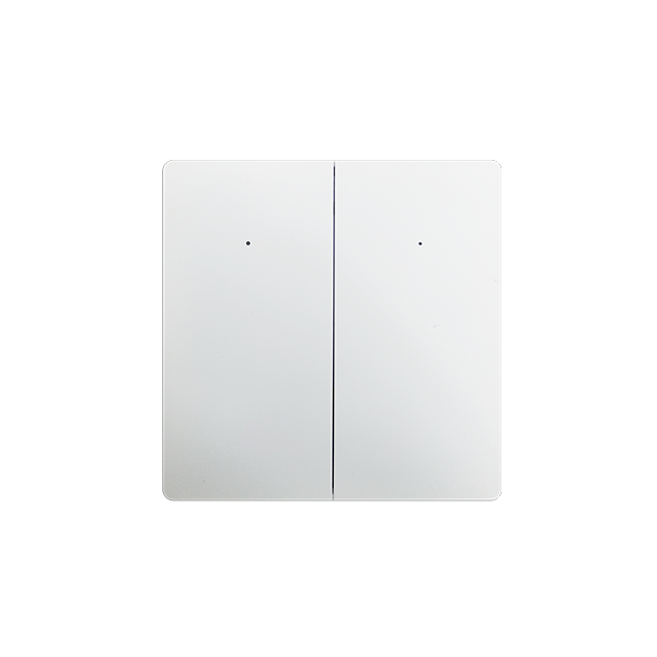 Two-Button Single Fire Switch