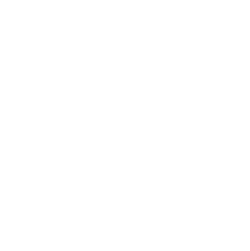 Intelligent Sensor