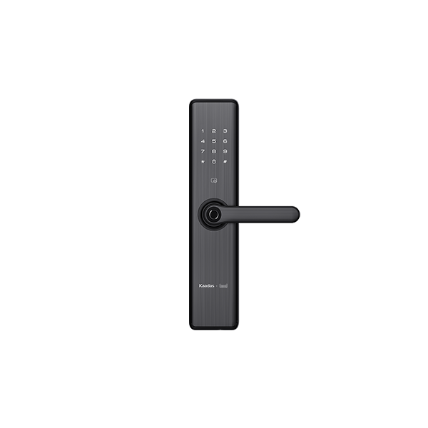 Intelligent Door Lock