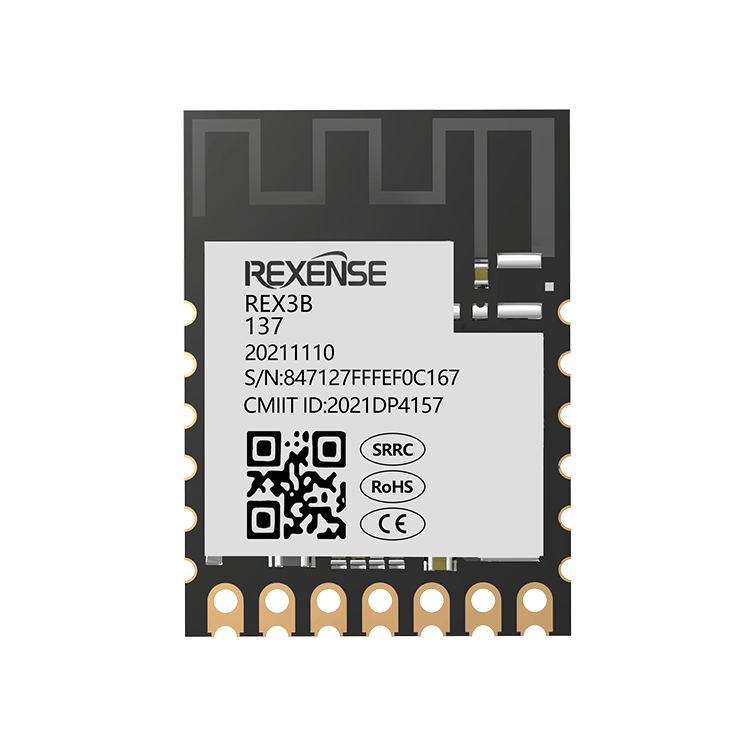 REX3B137