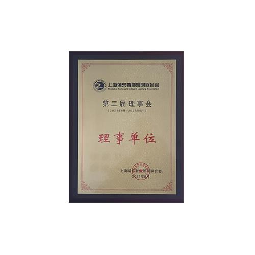 Director of Shanghai Pudong Intelligent Lighting Federation
